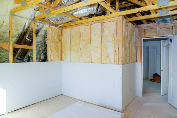 Best Insulation Removal  in Moody, TX