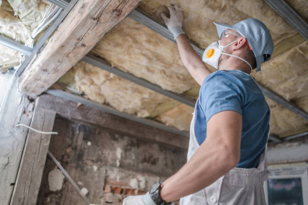 Best Insulation Repair Services  in Moody, TX