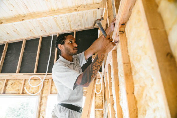 Best Insulation Contractor Near Me  in Moody, TX