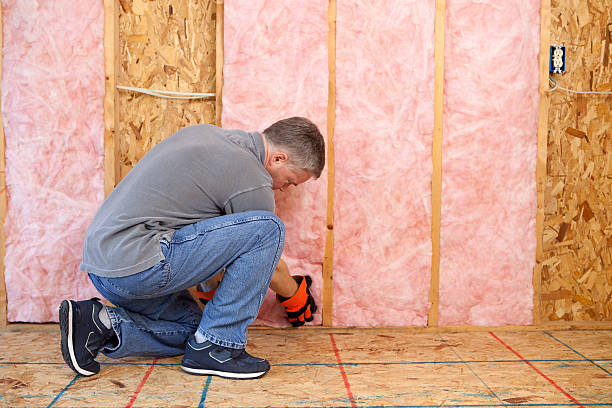Best Insulation Contractor Near Me  in Moody, TX