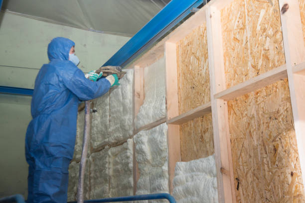 Best Best Insulation Companies  in Moody, TX