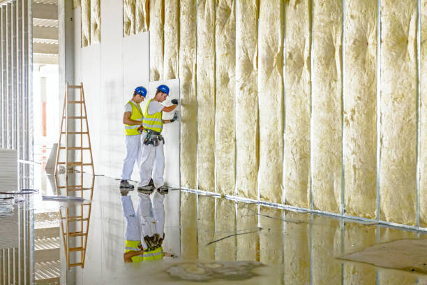 Best Home Insulation Services  in Moody, TX